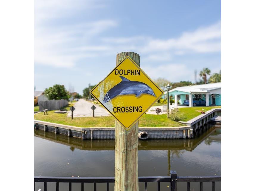 225 Richland Merritt Island FL 32953 O6346730 image16