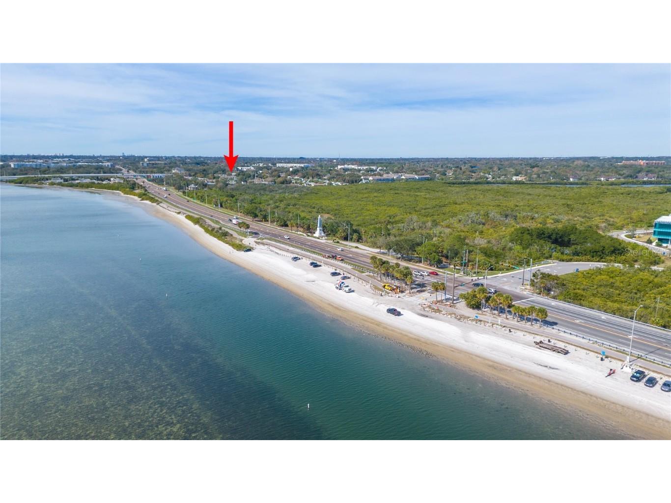 225 S Mcmullen Booth Road #171 Clearwater FL 33759 T3498446 image1