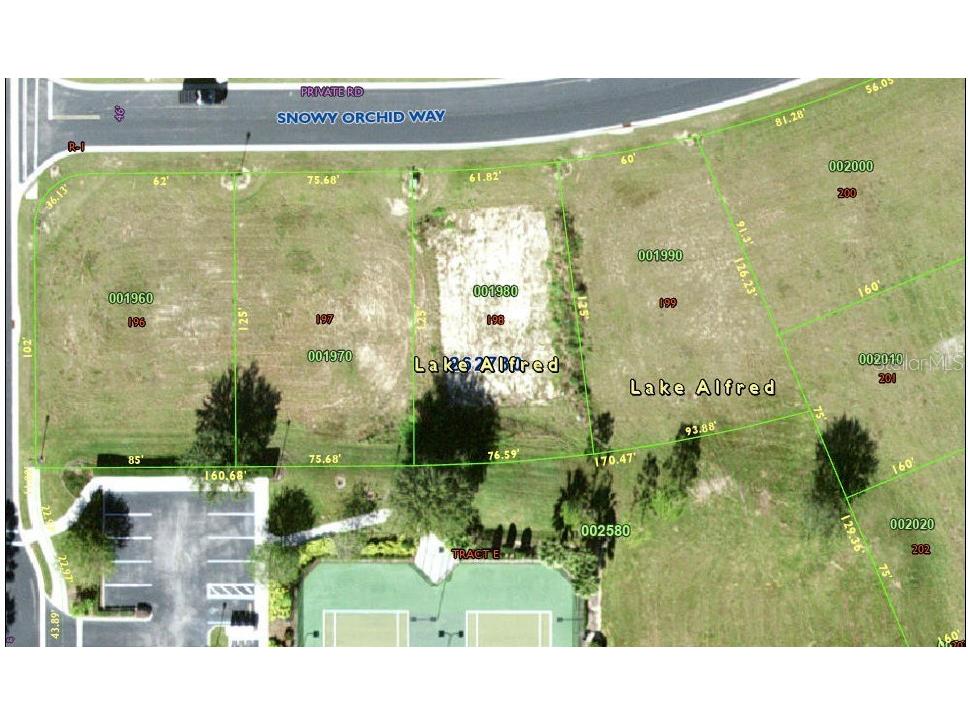 225 Snowy Orchid Way Lake Alfred FL 33850 L4949597 image1