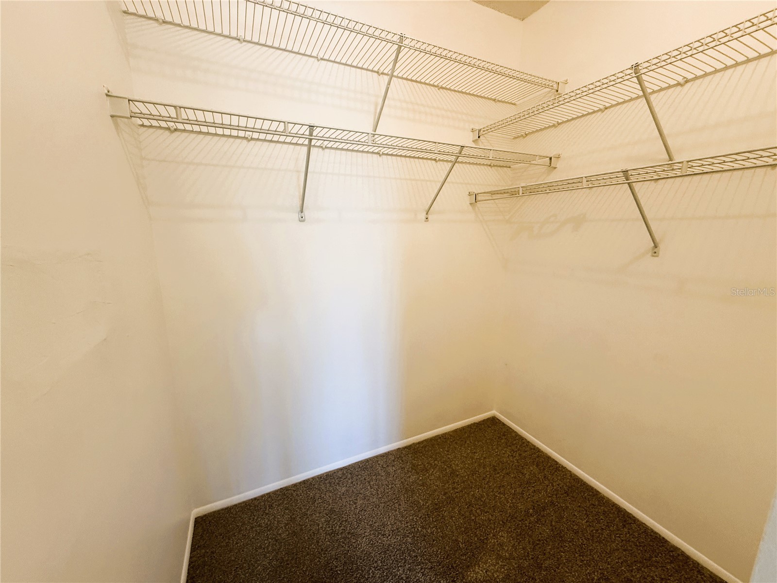 225 Sun Vista Court S Treasure Island FL 33706 TB8506792 image19