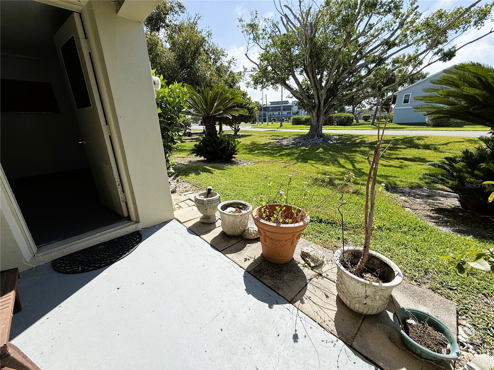 225 Sun Vista Court S Treasure Island FL 33706 TB8506792 image29