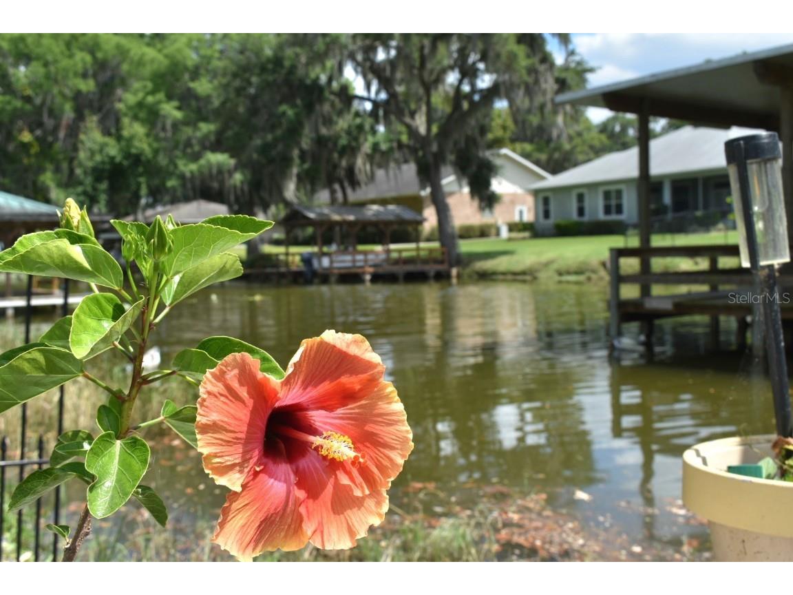 225 Temple Circle Eustis FL 32726 - LAKE EUSTIS CANAL O6315968 image45