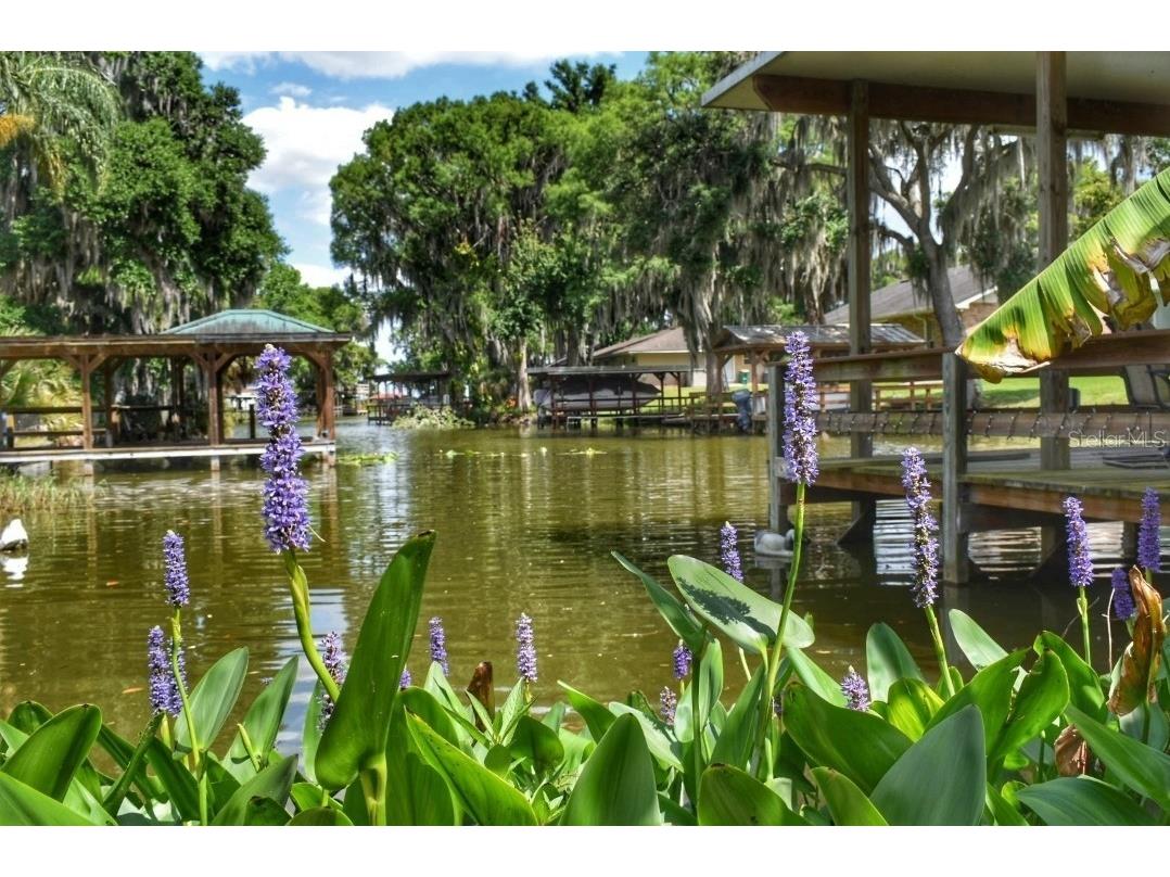 225 Temple Circle Eustis FL 32726 - LAKE EUSTIS CANAL O6315968 image47