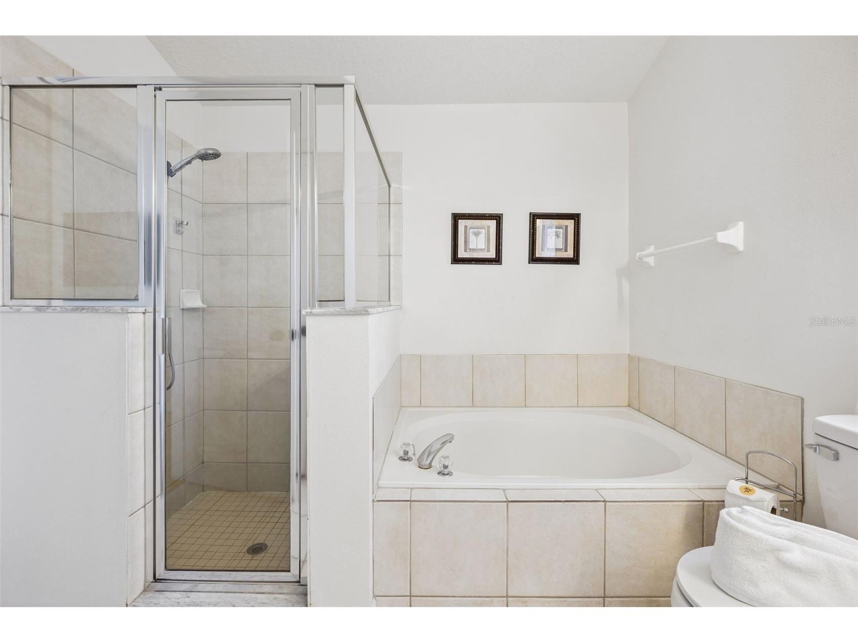 225 Tivoli Circle Davenport FL 33837 O6401550 image14