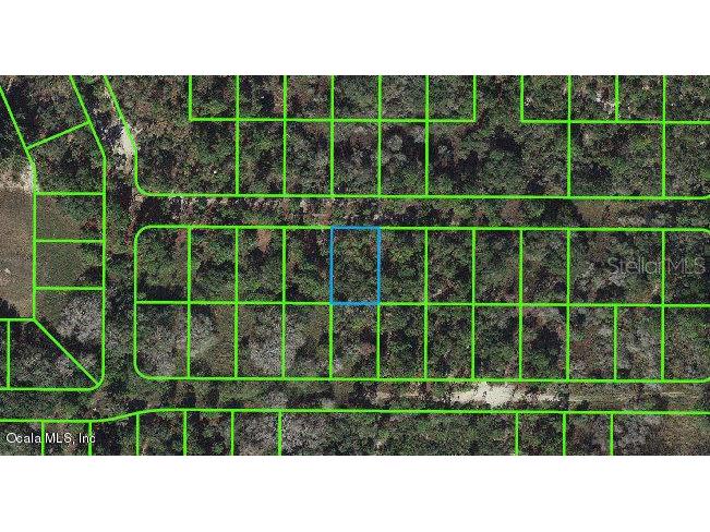 225 Tannery Lane Lake Placid FL 33852 OM543106 image1