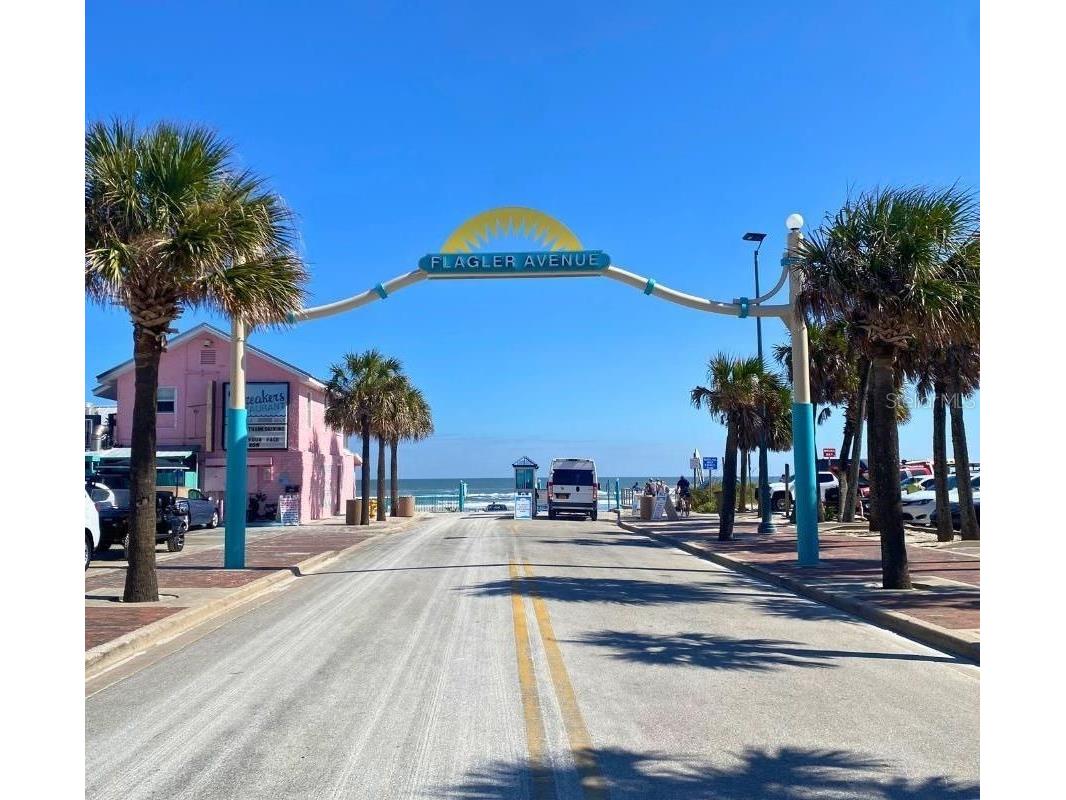 225 Venetian Palms Boulevard New Smyrna Beach FL 32168 O6421109 image48