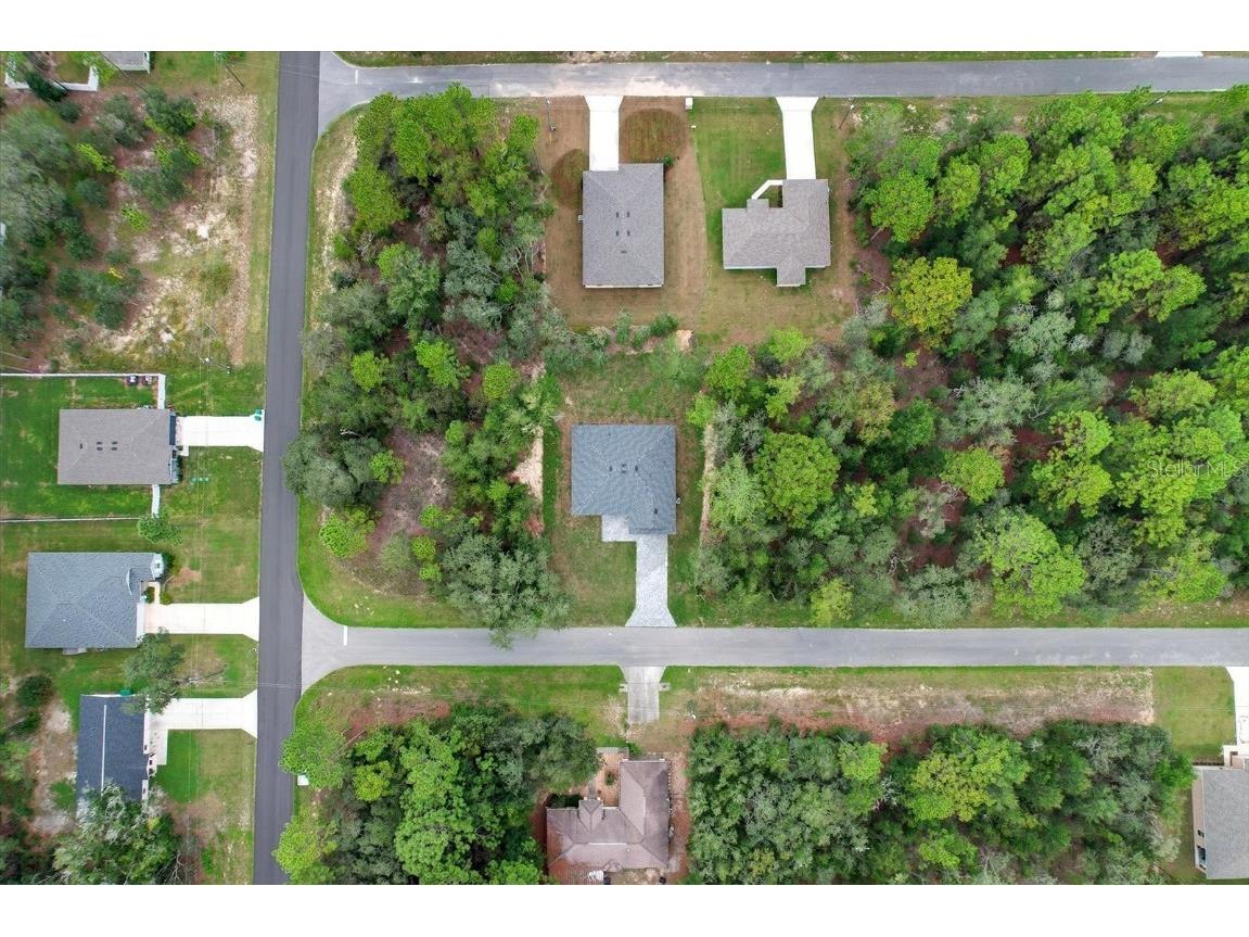 225 W Diego Place Citrus Springs FL 34434 OM709490 image41