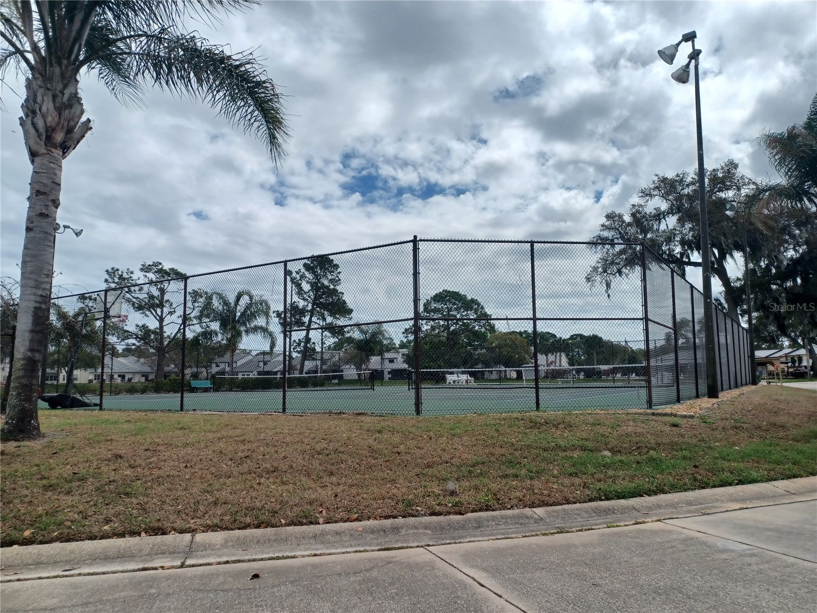 2250 Candlewood Lane E New Smyrna Beach FL 32168 O6399832 image3
