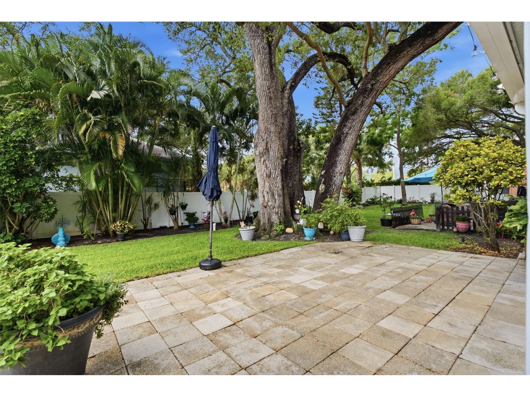 2250 Druid Road E #603 Clearwater FL 33764 TB8525468 image25