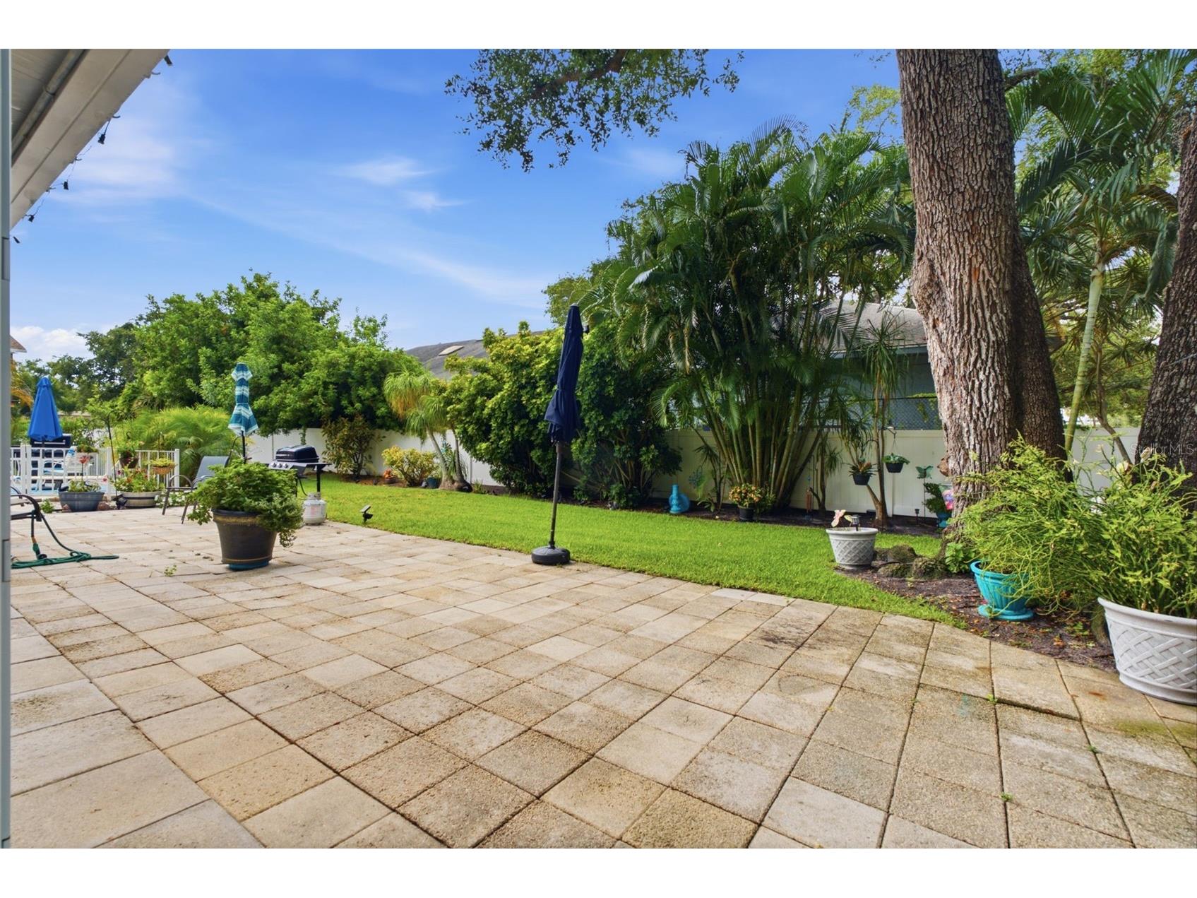 2250 Druid Road E #603 Clearwater FL 33764 TB8525468 image26