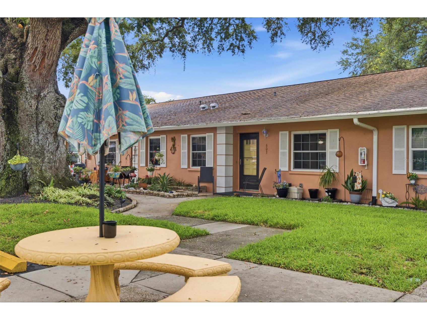 2250 Druid Road E #603 Clearwater FL 33764 TB8525468 image32