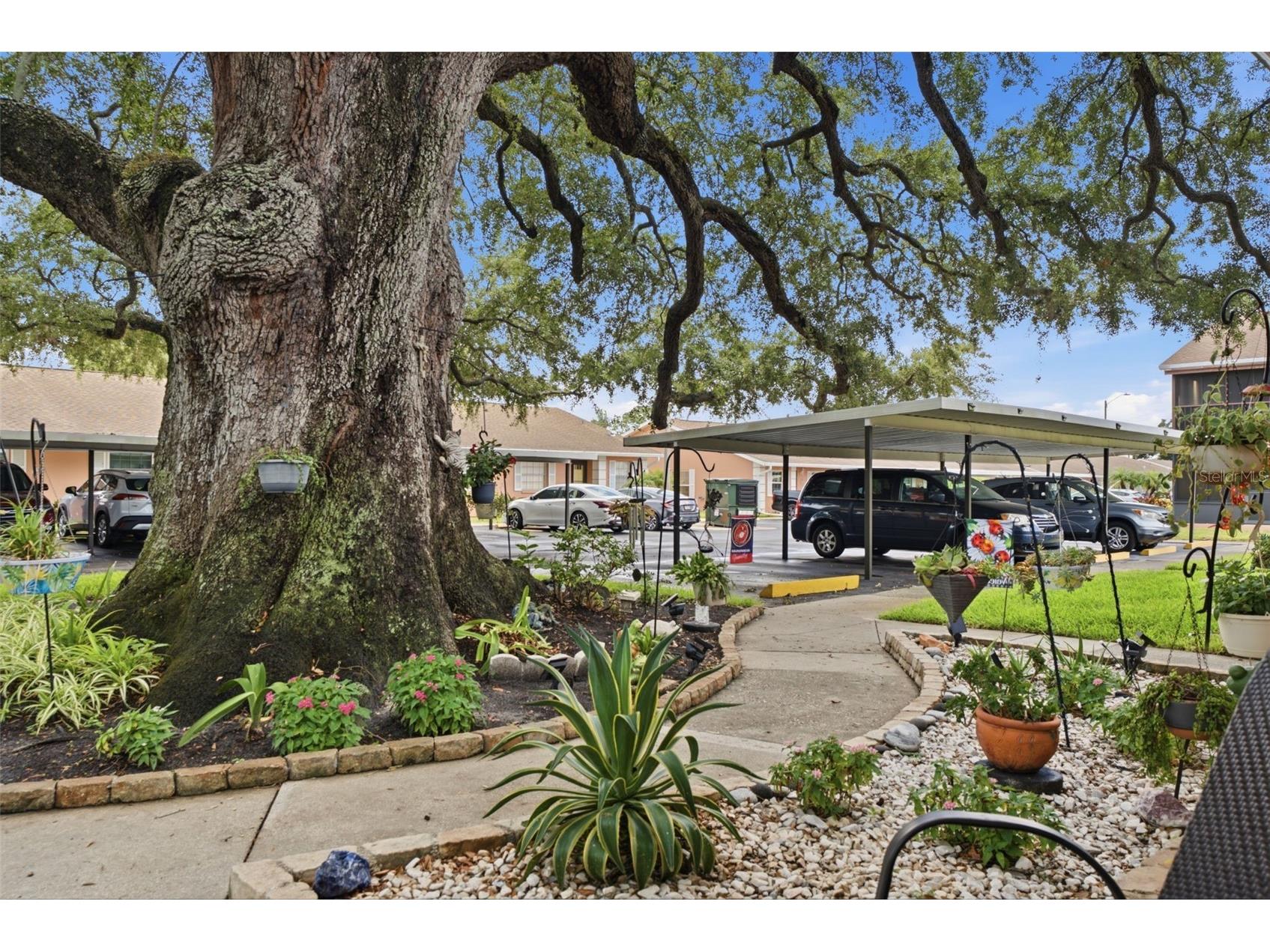 2250 Druid Road E #603 Clearwater FL 33764 TB8525468 image33