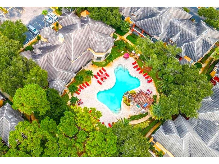 2250 Portofino Place #23-023 Palm Harbor FL 34683 TB8487023 image3