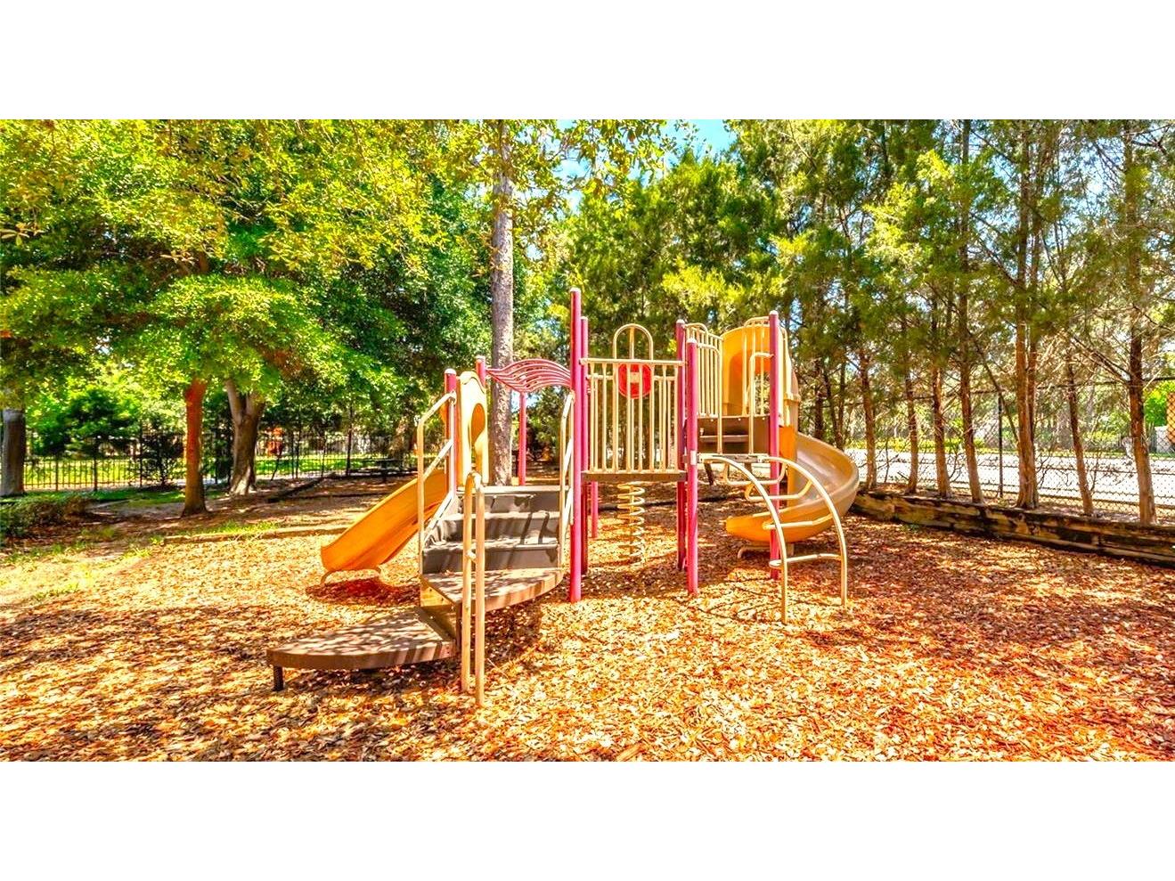 2250 Portofino Place #23-023 Palm Harbor FL 34683 TB8487023 image9