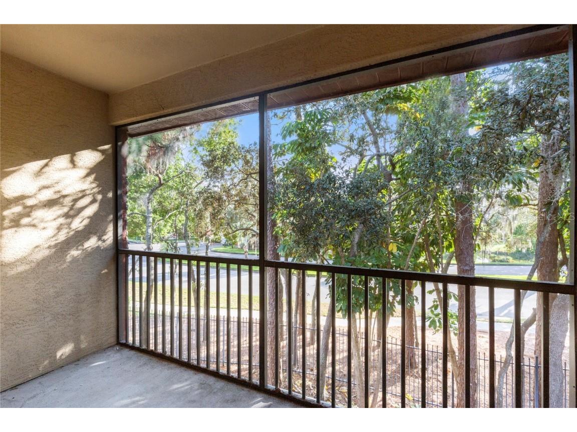 2250 Portofino Place #237 Palm Harbor FL 34683 TB8439139 image17