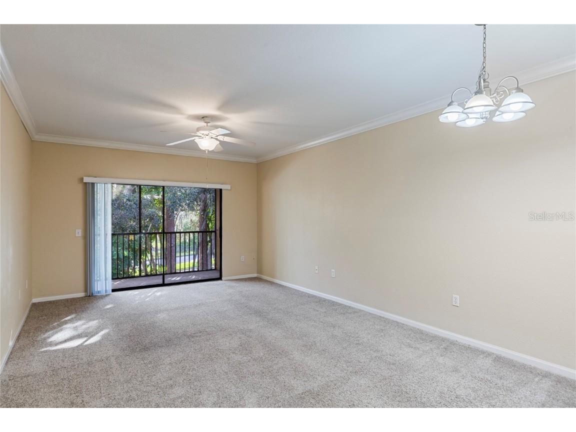 2250 Portofino Place #237 Palm Harbor FL 34683 TB8439139 image7