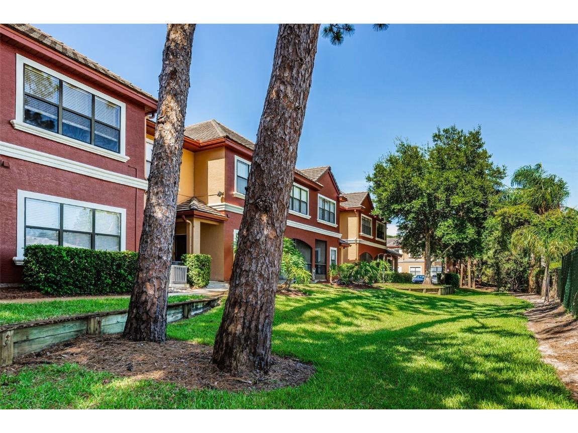 2250 Portofino Place #239 Palm Harbor FL 34683 U8246798 image1