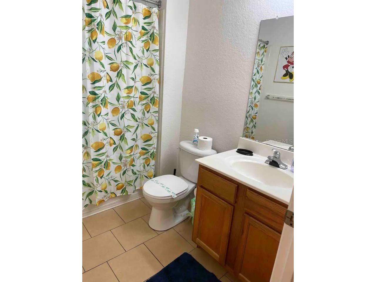 2250 San Vital Drive #107 Kissimmee FL 34741 O6375201 image13