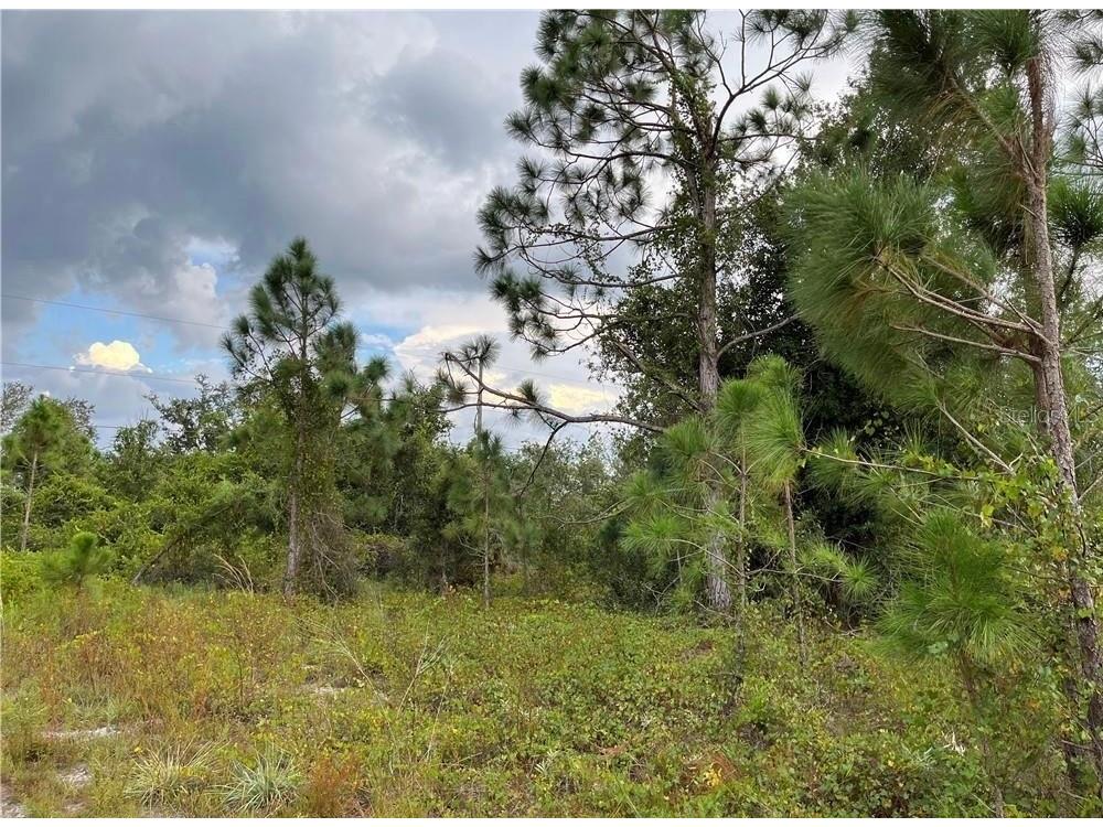 2250 Sulstone Drive Punta Gorda FL 33983 C7526016 image2