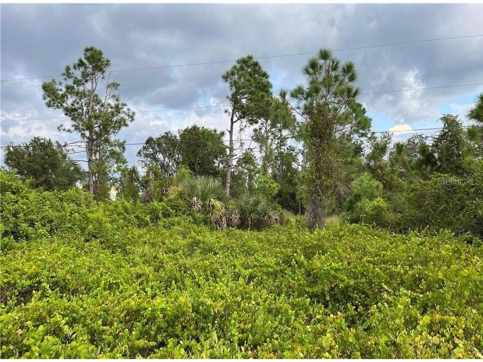 2250 Sulstone Drive Punta Gorda FL 33983 C7526016 image3