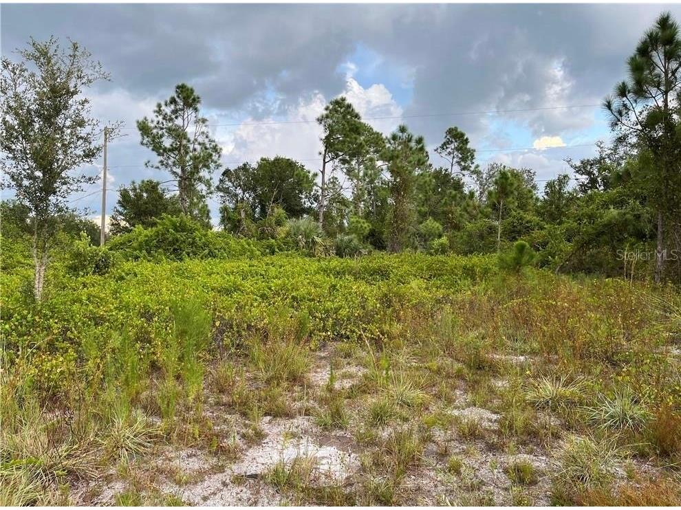 2250 Sulstone Drive Punta Gorda FL 33983 C7526016 image4