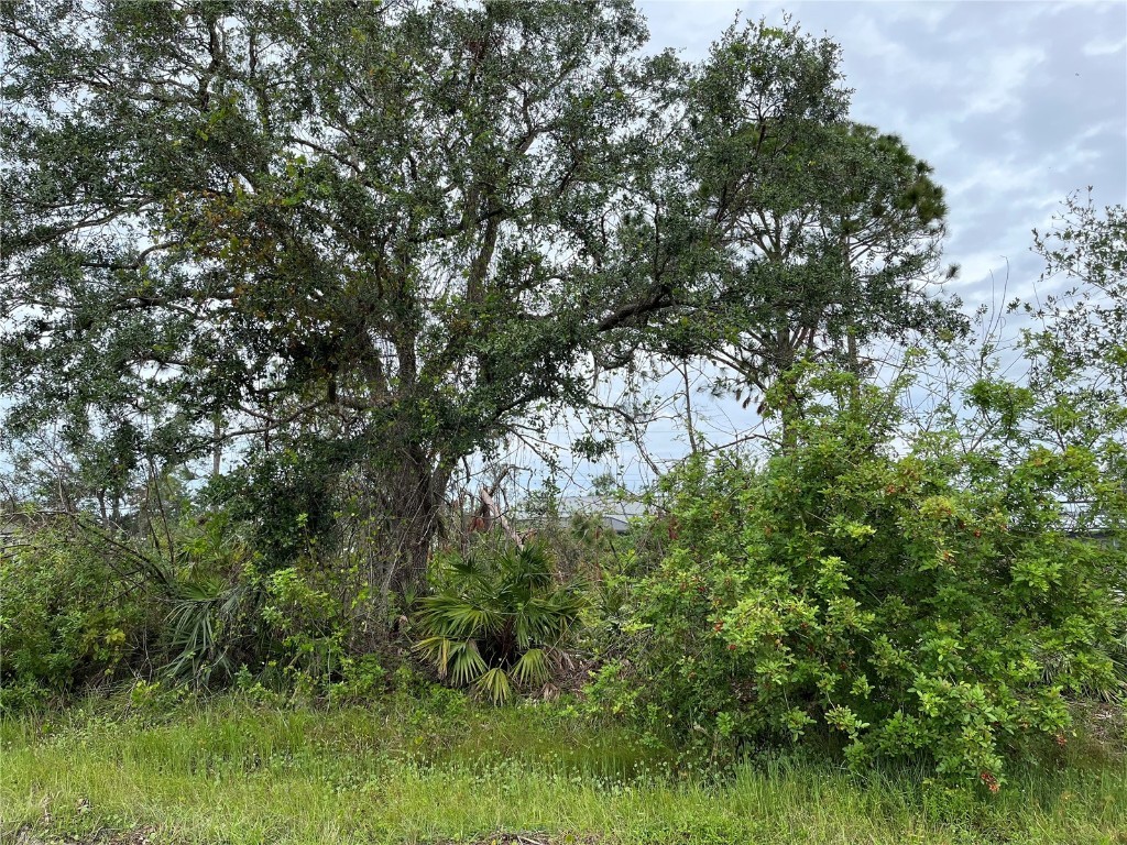 22508 Bradford Avenue Port Charlotte FL 33952 U8183131 image1