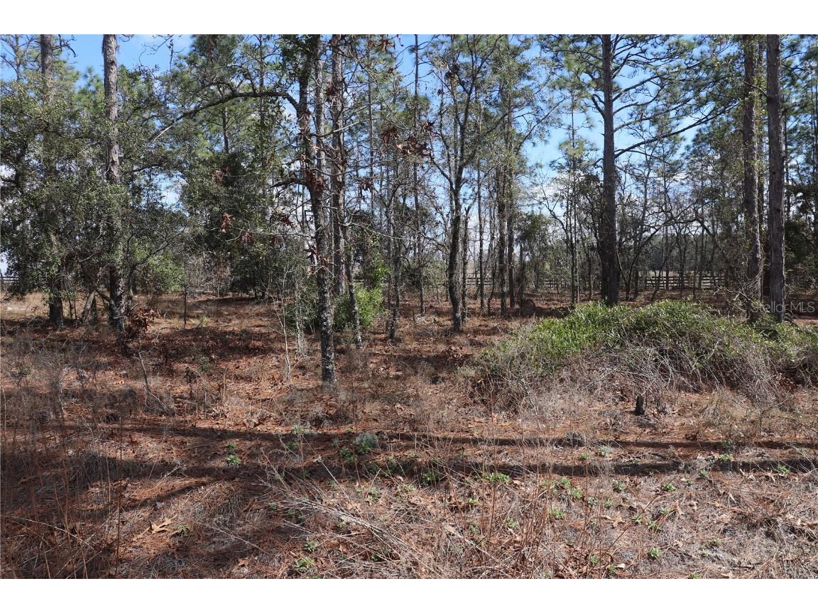 2251 NW Buena Vista Road Dunnellon FL 34431 OM694703 image1