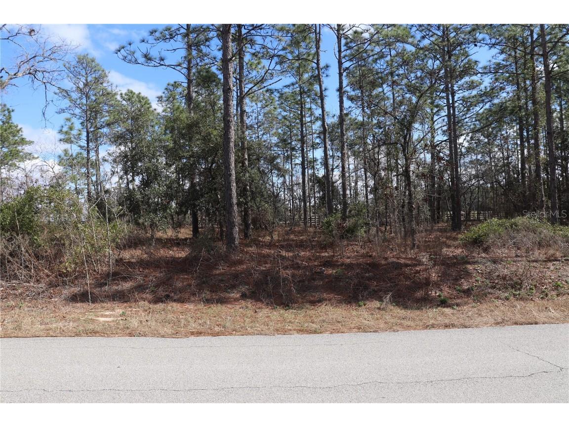 2251 NW Buena Vista Road Dunnellon FL 34431 OM694703 image2