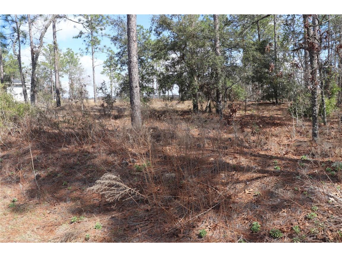 2251 NW Buena Vista Road Dunnellon FL 34431 OM694703 image3