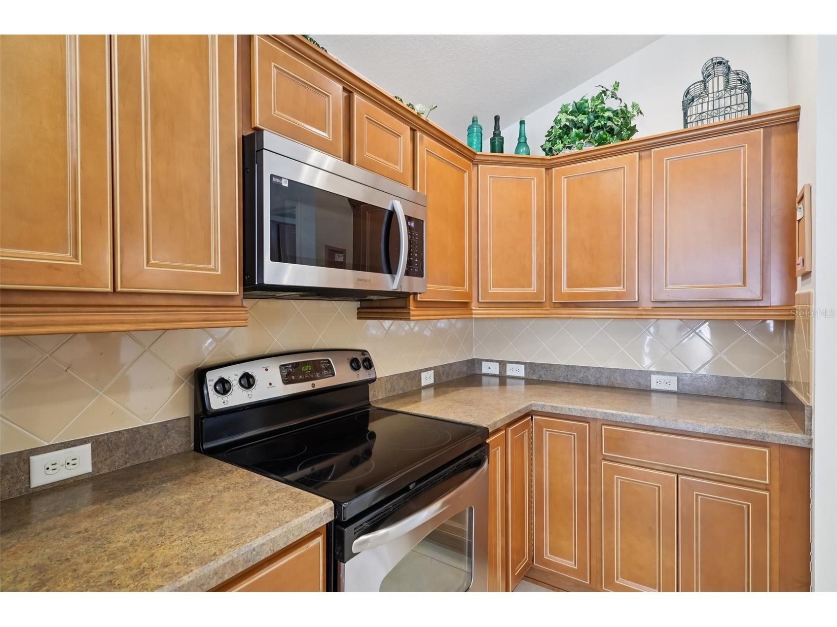 2251 Opal Court The Villages FL 32162 G5108202 image20