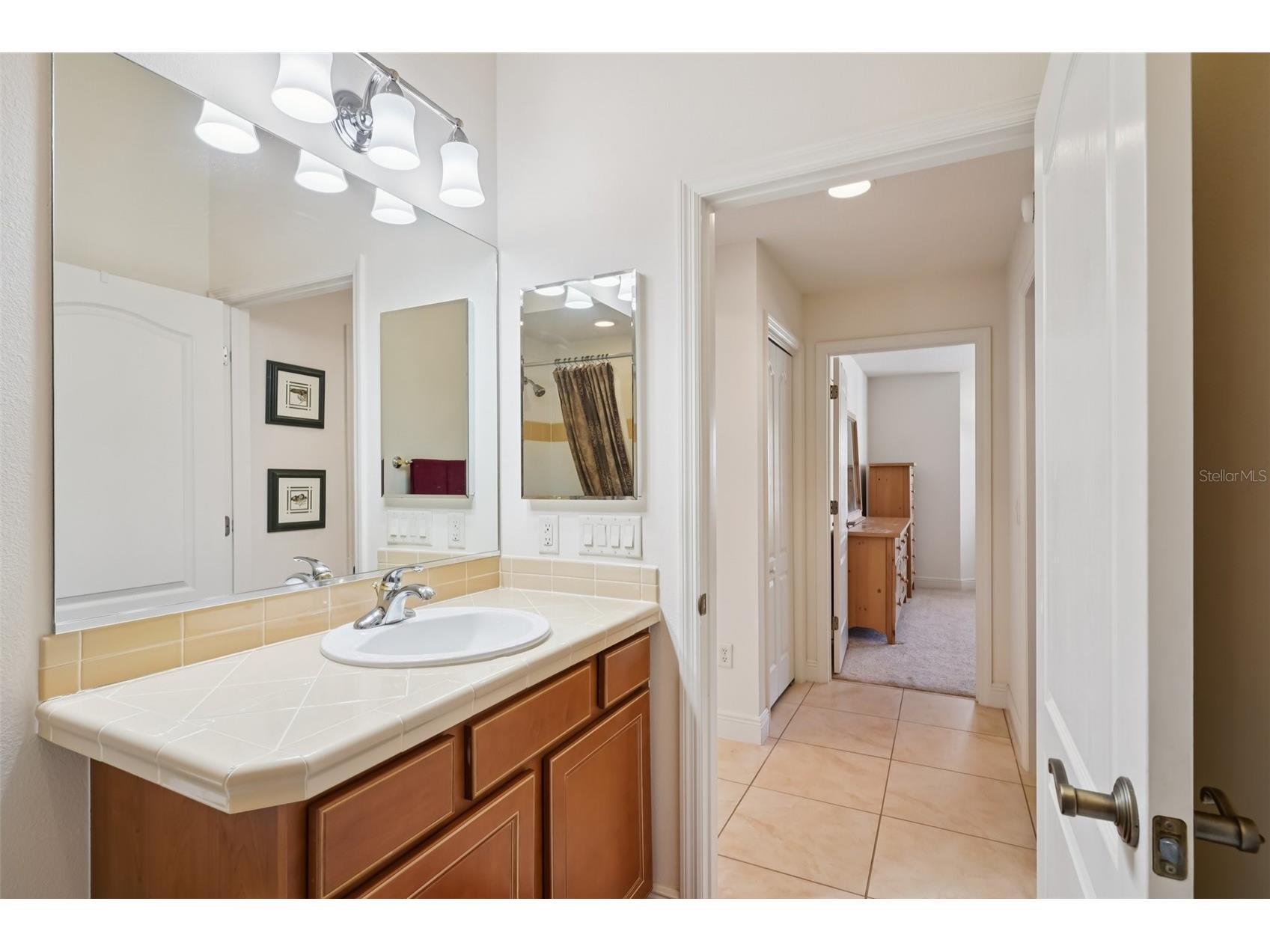 2251 Opal Court The Villages FL 32162 G5108202 image36