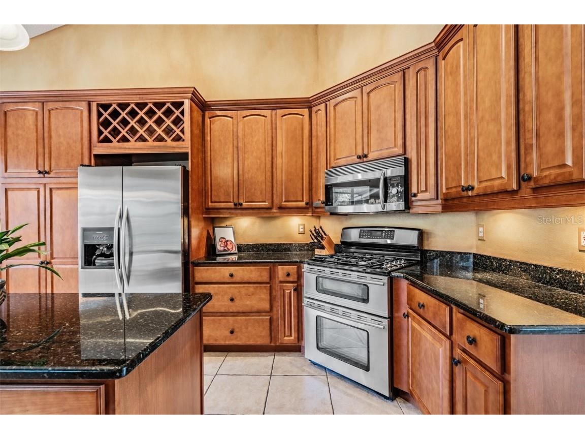 22519 Southshore Drive Land O Lakes FL 34639 TB8430800 image17