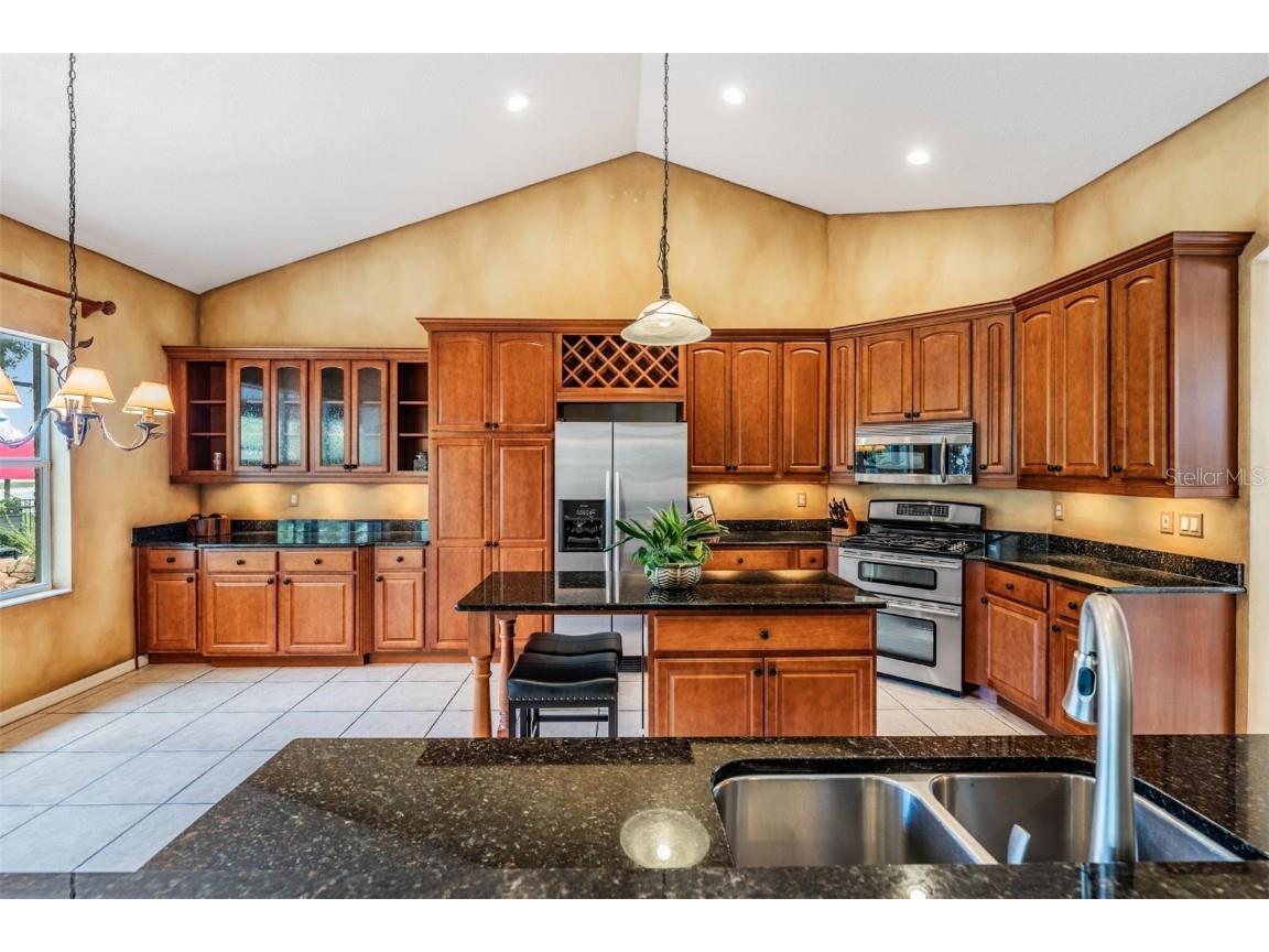 22519 Southshore Drive Land O Lakes FL 34639 TB8430800 image23