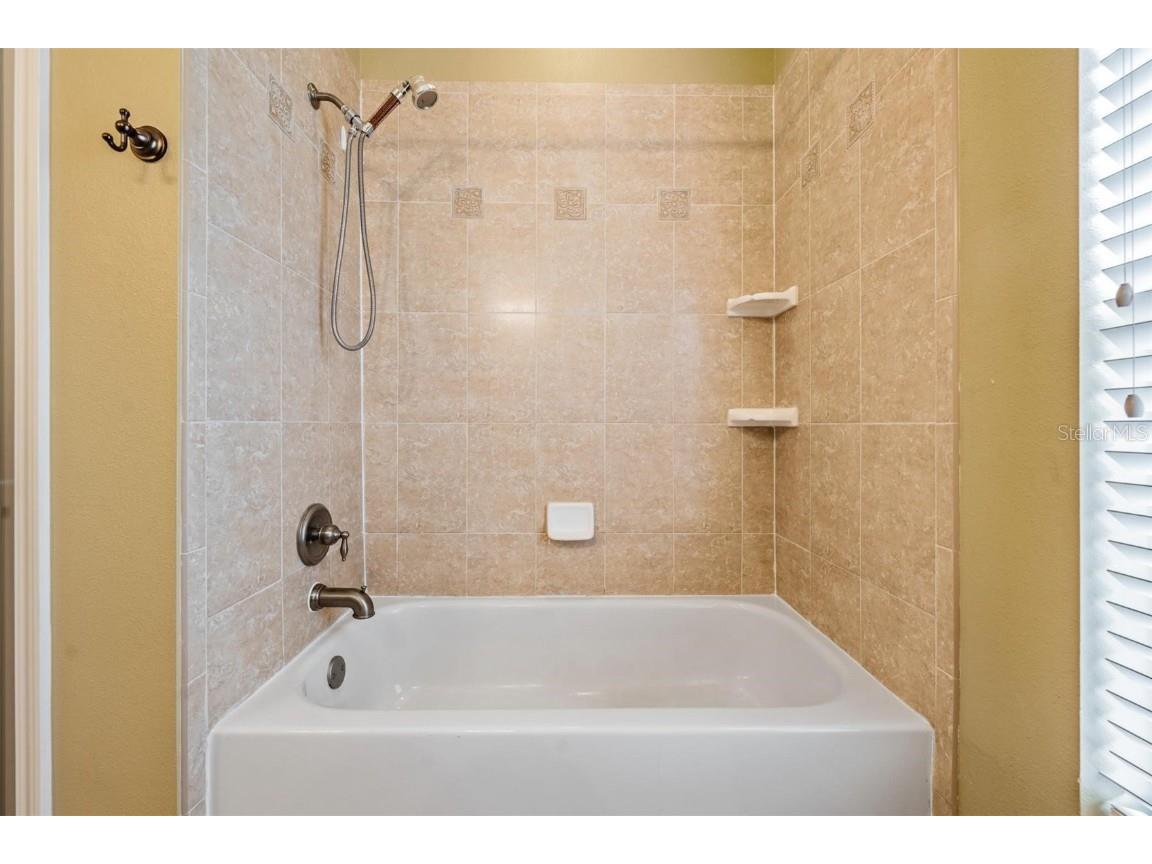 22519 Southshore Drive Land O Lakes FL 34639 TB8430800 image30