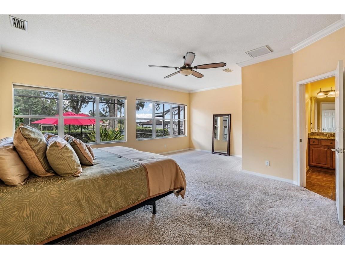 22519 Southshore Drive Land O Lakes FL 34639 TB8430800 image33