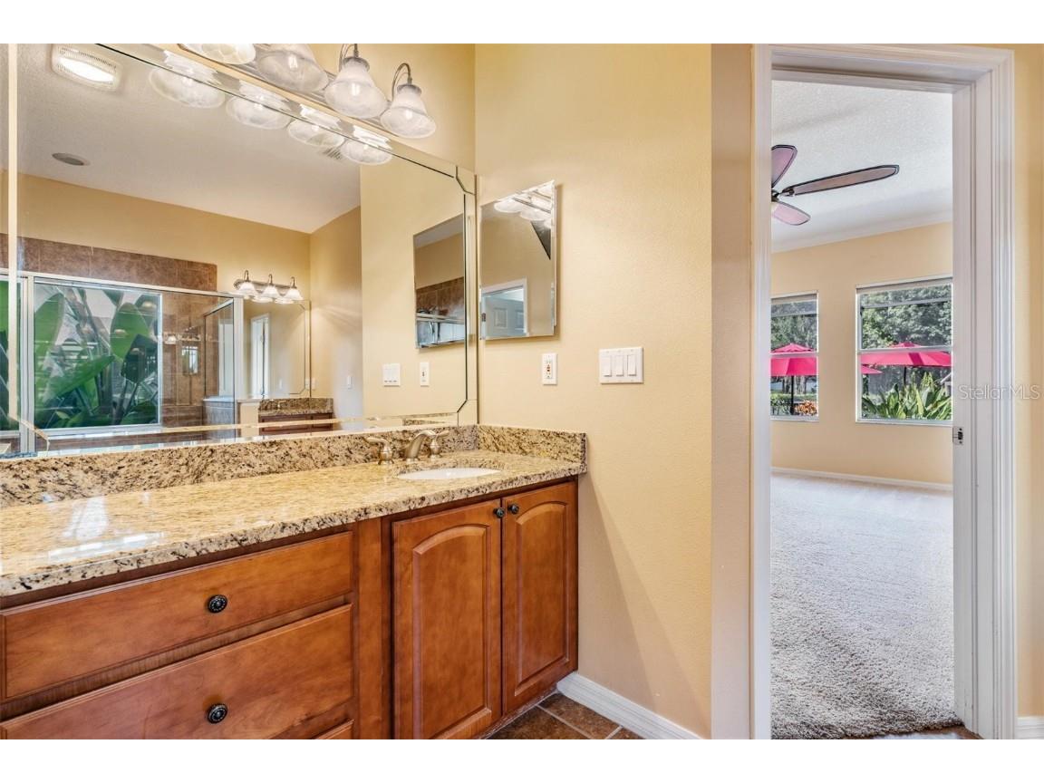 22519 Southshore Drive Land O Lakes FL 34639 TB8430800 image37