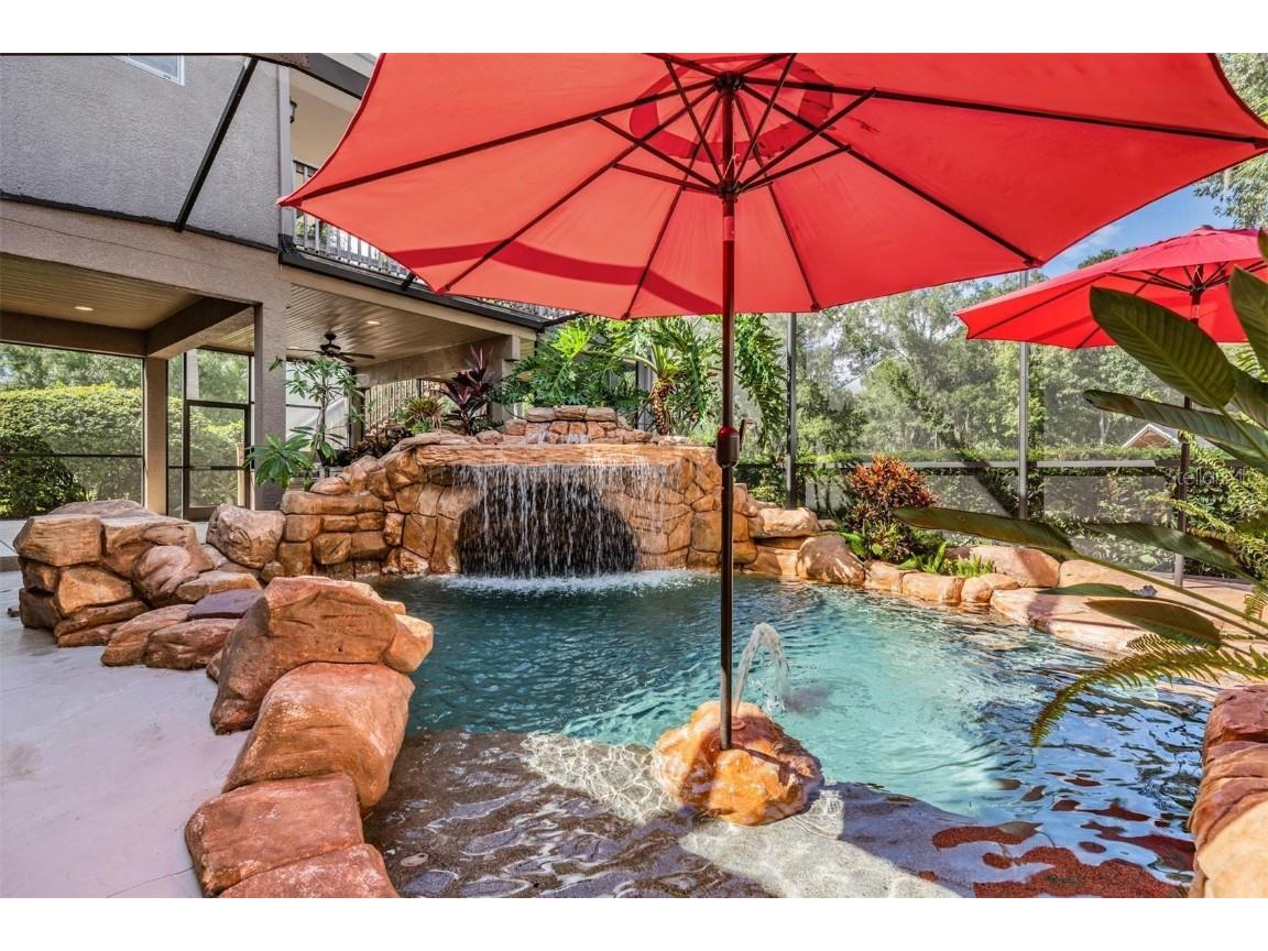 22519 Southshore Drive Land O Lakes FL 34639 TB8430800 image7