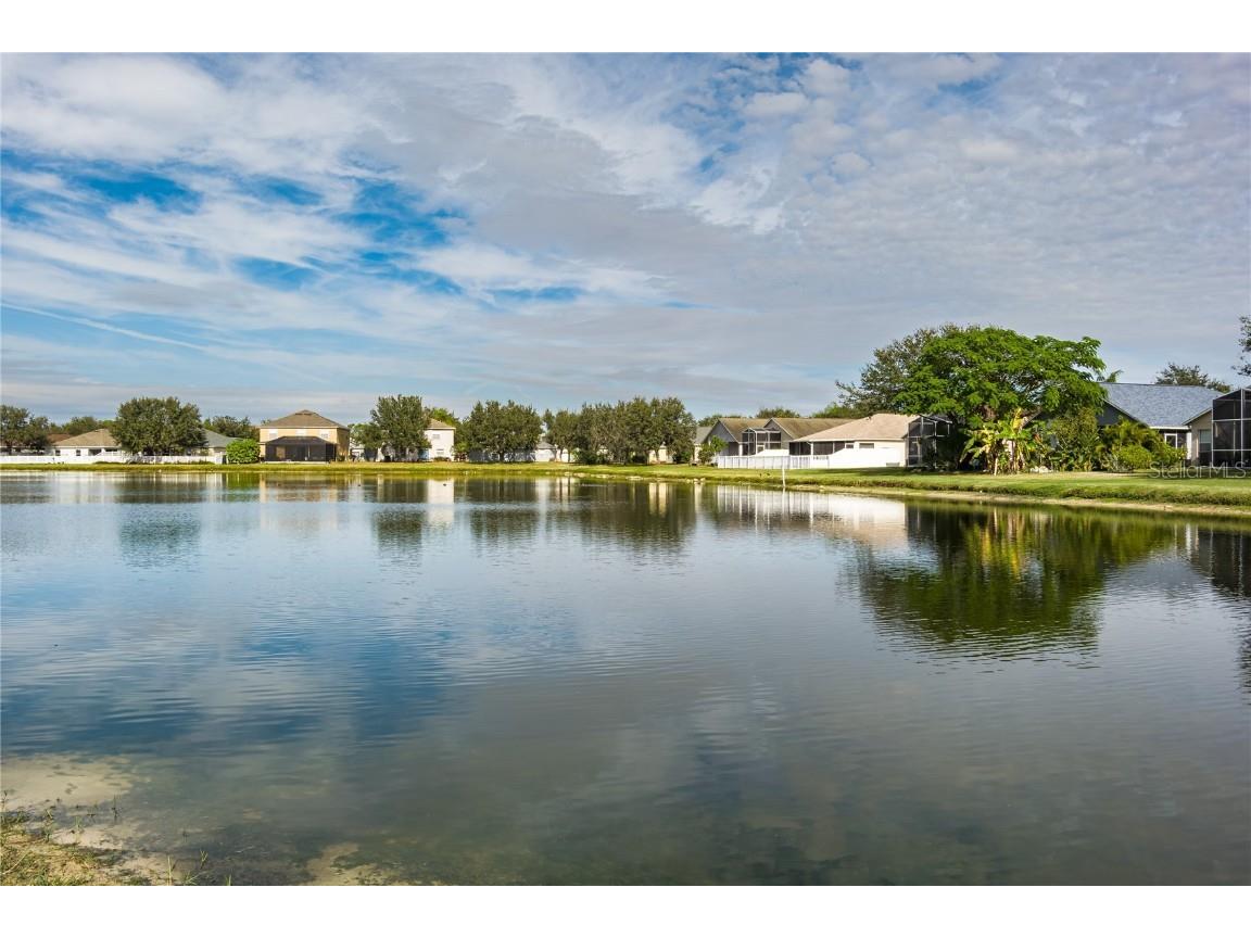 2252 Colville Chase Drive Ruskin FL 33570 A4674541 image41