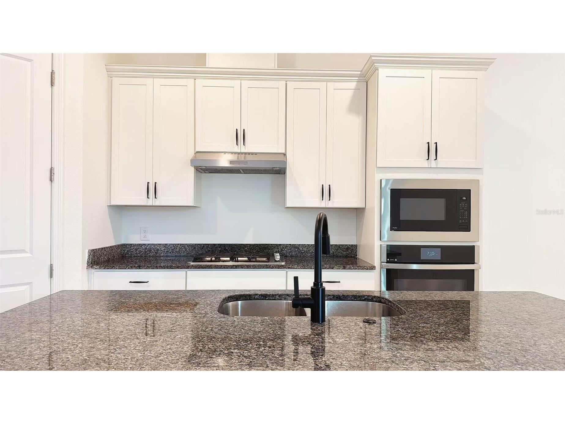 2252 Emerald Springs Drive Apopka FL 32712 O6380996 image7