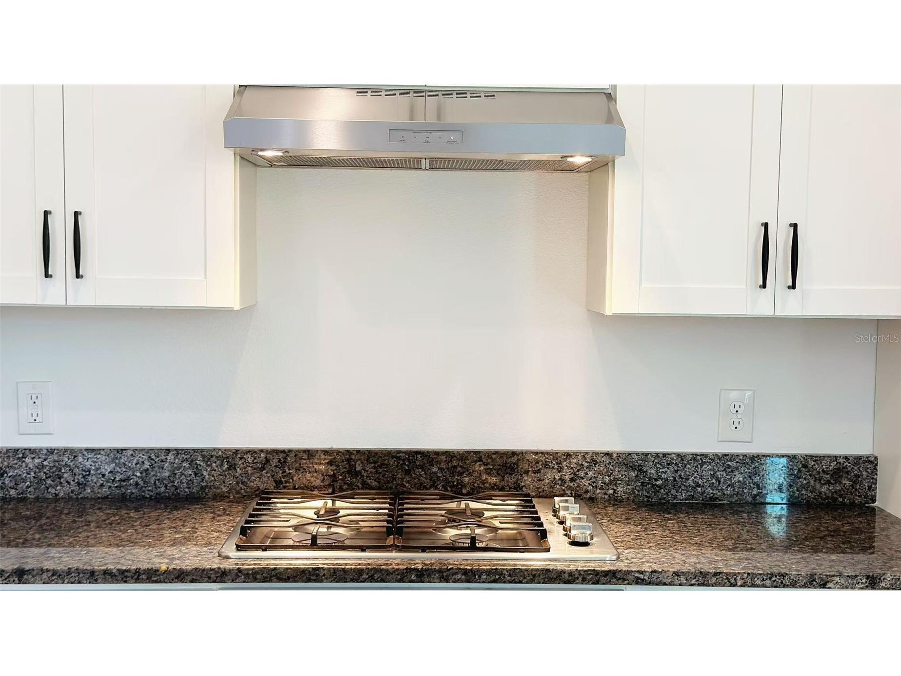 2252 Emerald Springs Drive Apopka FL 32712 O6380996 image8