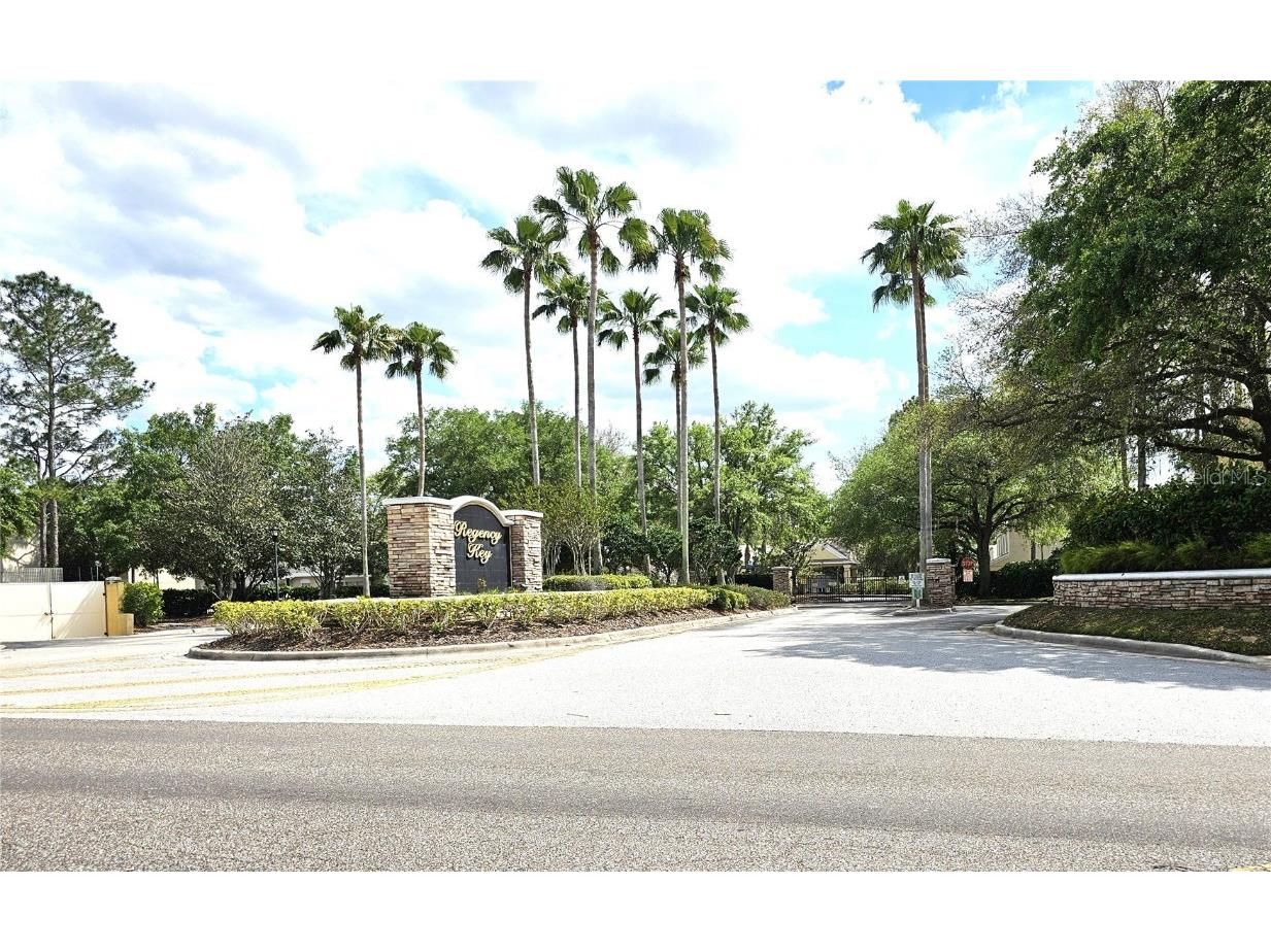 2252 Lake Woodberry Circle Brandon FL 33510 T3510957 image1
