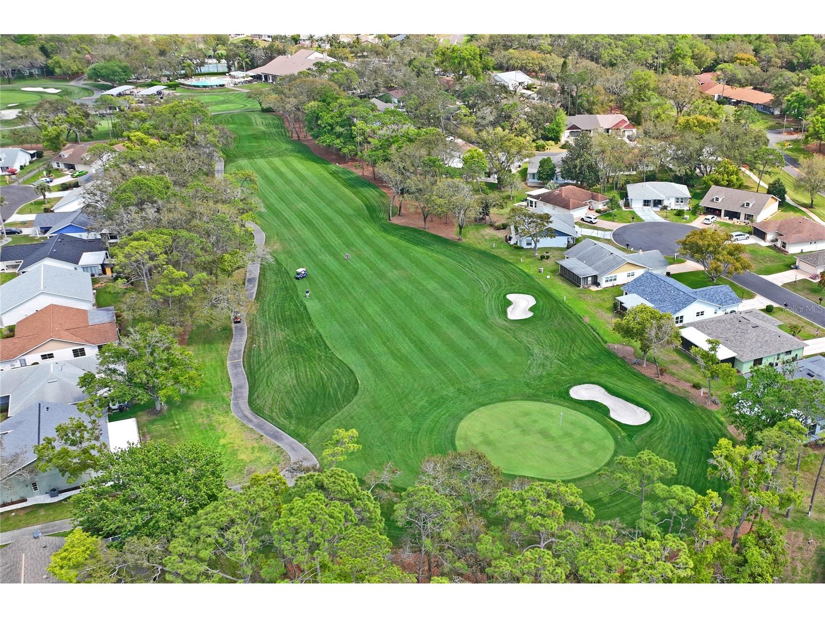 2252 Pebble Beach Drive Spring Hill FL 34606 W7884293 image48