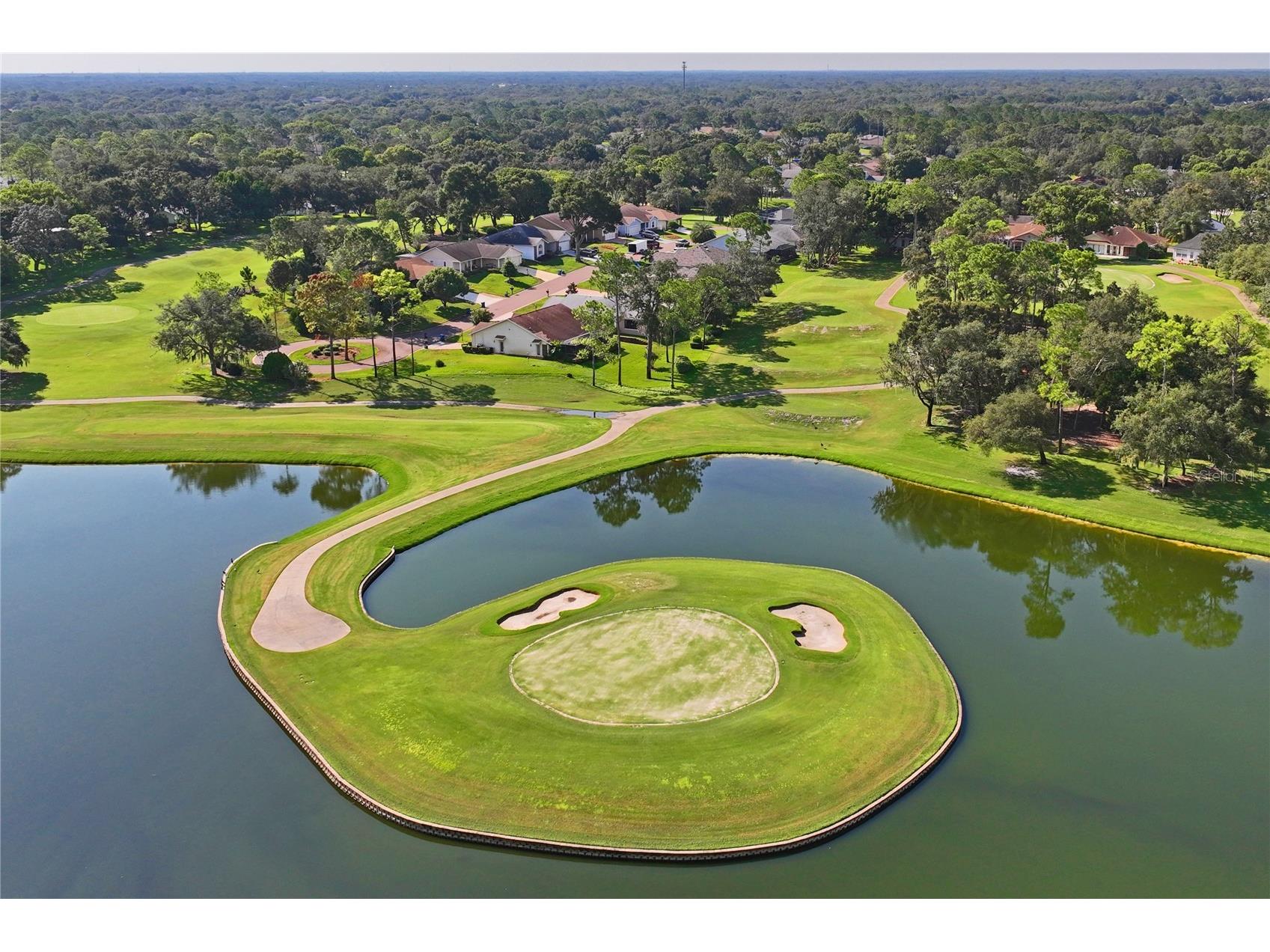 2252 Pebble Beach Drive Spring Hill FL 34606 W7884293 image75