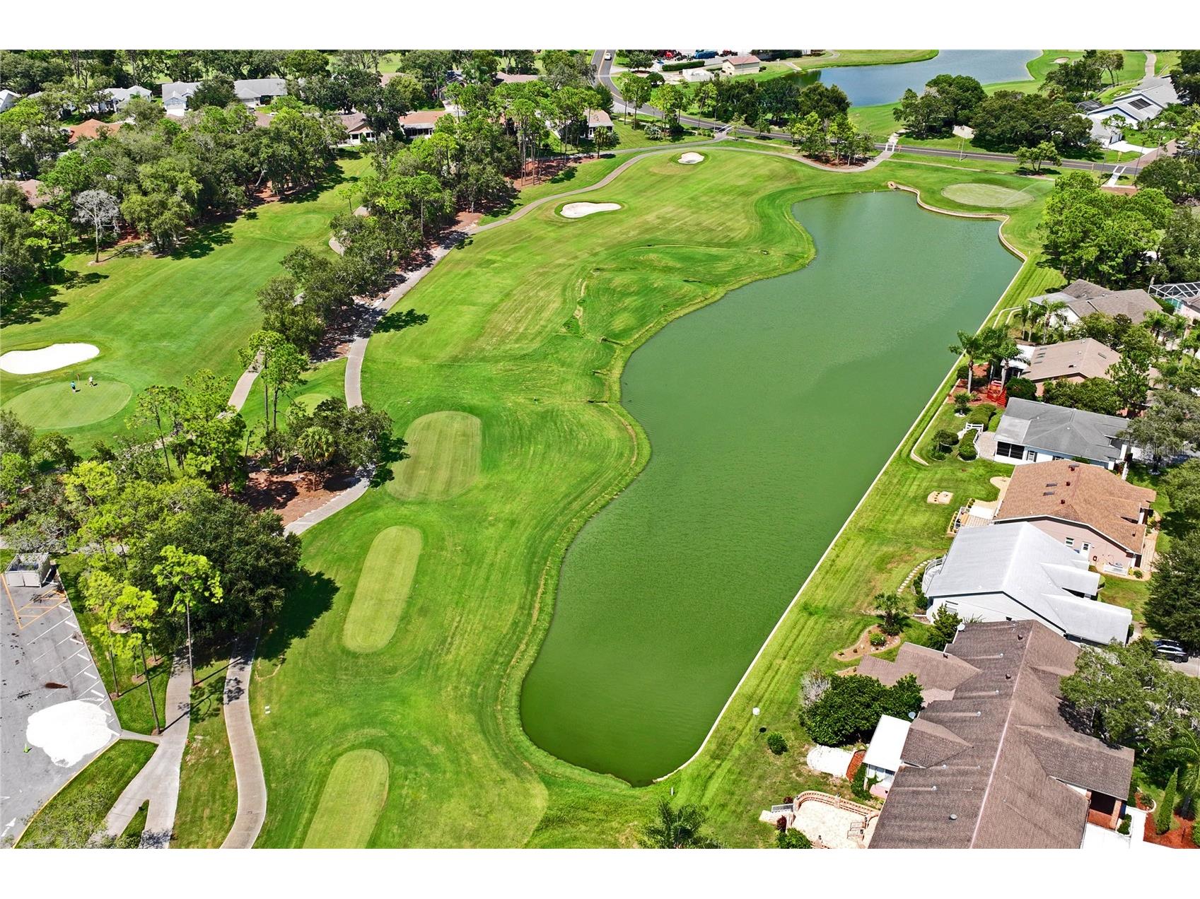 2252 Pebble Beach Drive Spring Hill FL 34606 W7884293 image82