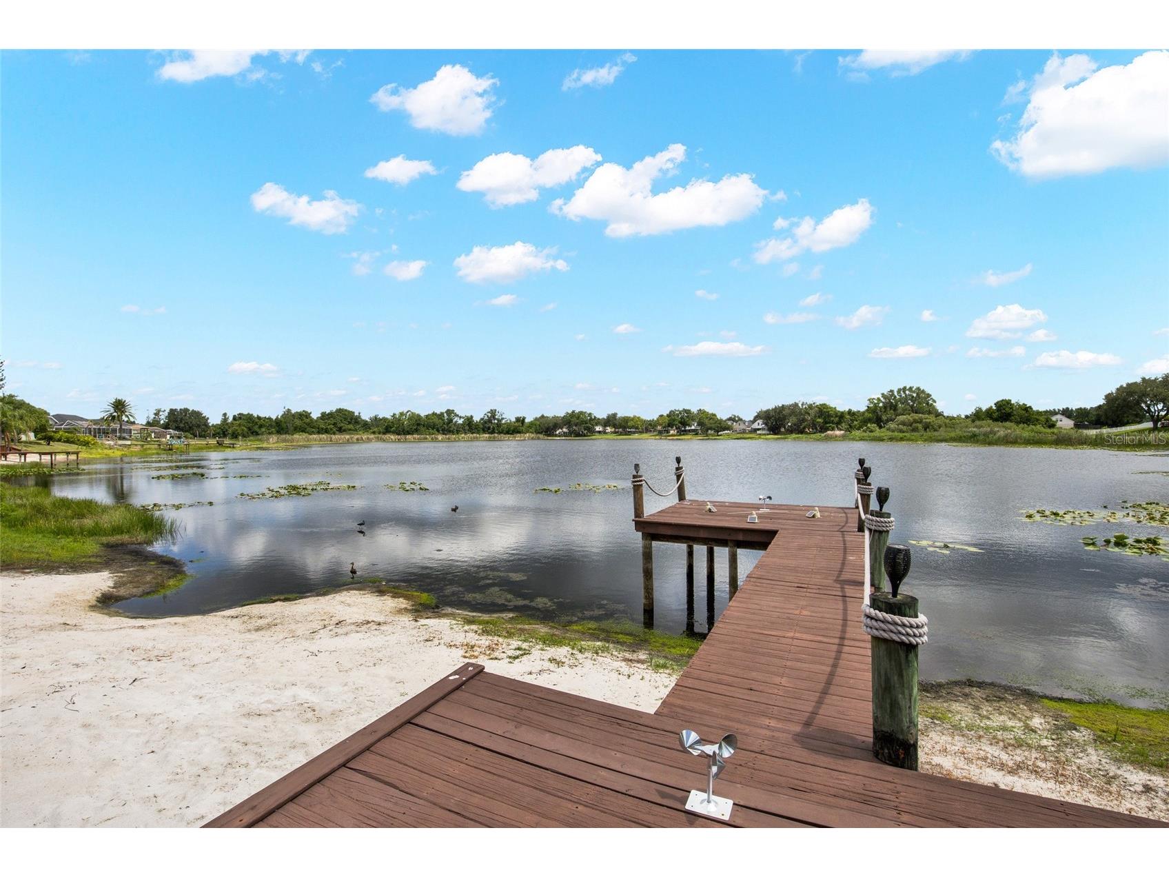 22523 Willow Lakes Drive Lutz FL 33549 TB8520371 image16