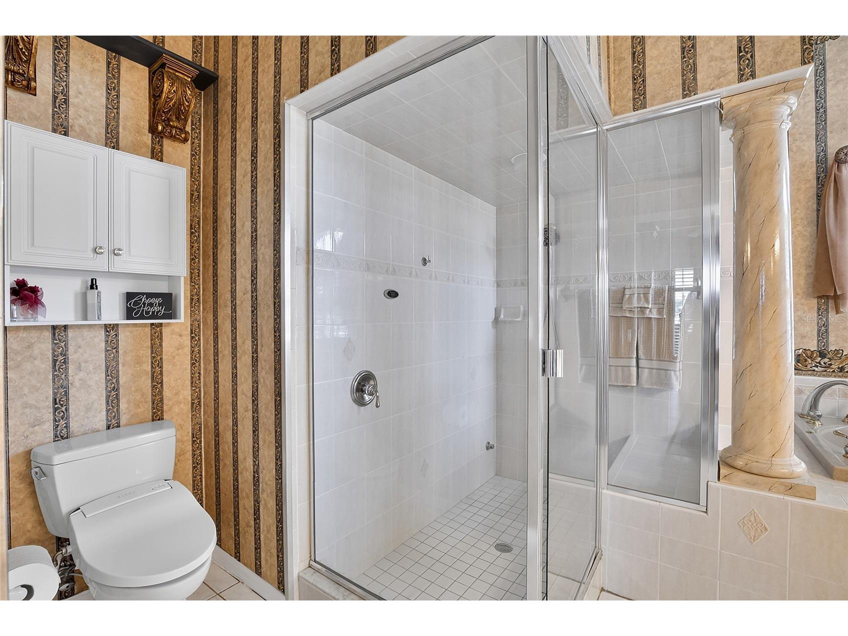22523 Willow Lakes Drive Lutz FL 33549 TB8520371 image28