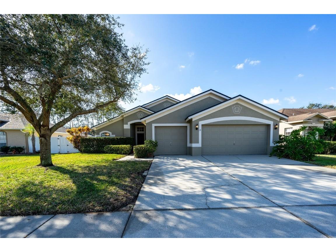 22524 Willow Lakes Drive Lutz FL 33549 T3501474 image1