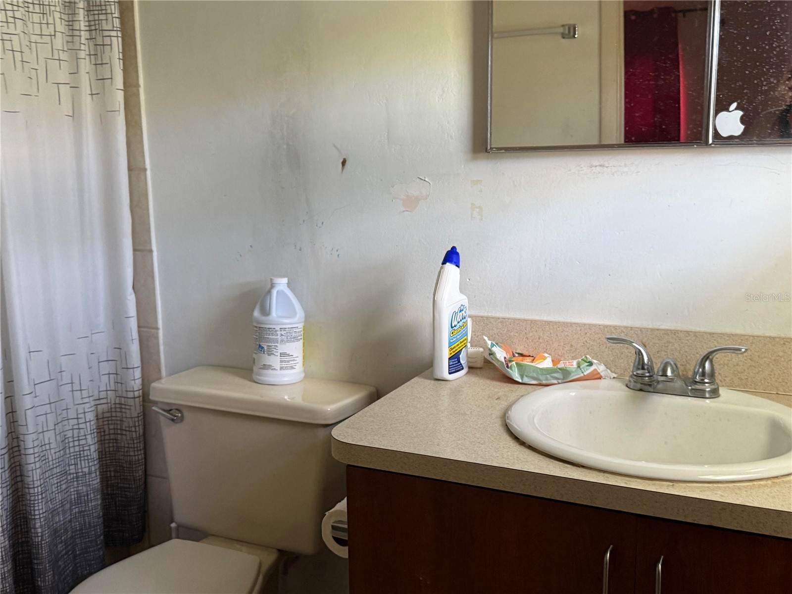 2253 11th Terrace Lehigh Acres FL 33936 TB8436788 image14