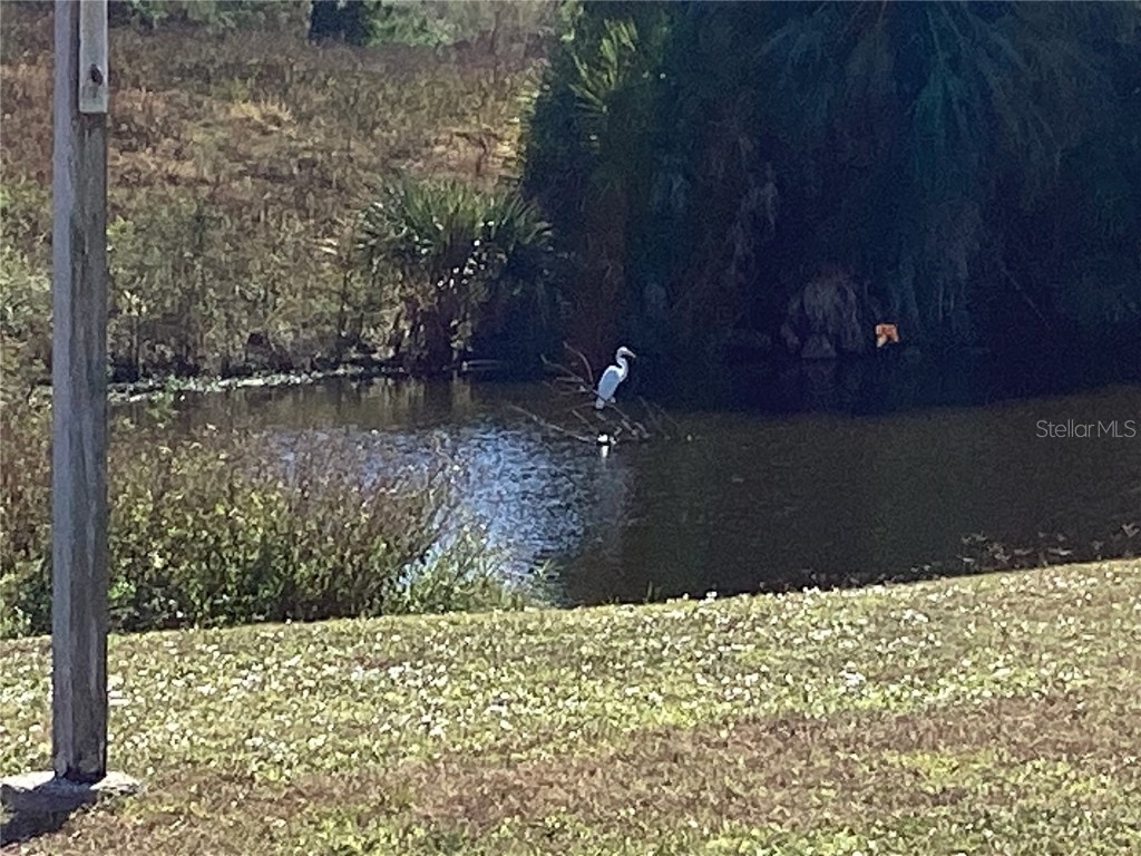 2253 Alton Road Port Charlotte FL 33952 C7517169 image44