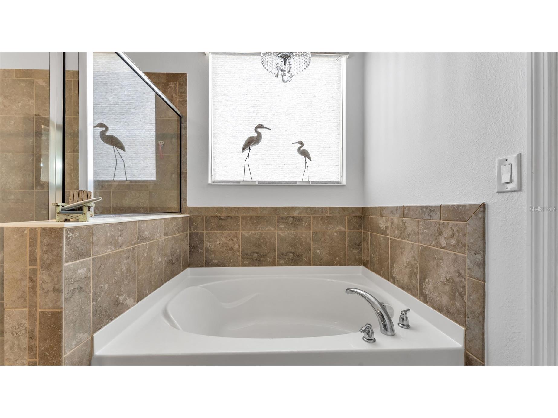 2253 Bella Luna Circle Lakeland FL 33810 L4960936 image42